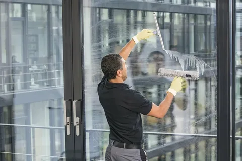 Window & Surface Polish